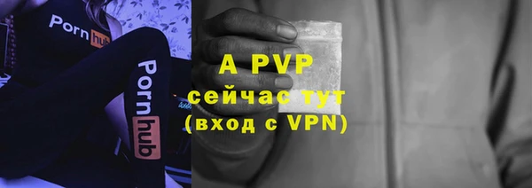 a pvp Гусиноозёрск