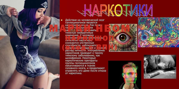 амфетамин Гусь-Хрустальный