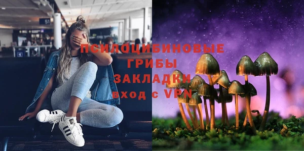 a pvp Гусиноозёрск