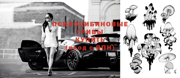 a pvp Гусиноозёрск