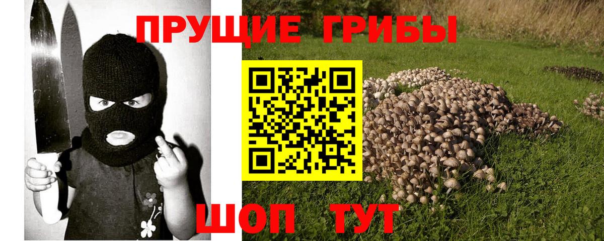Псилоцибиновые грибы Magic Shrooms  Вход с VPN  Жуковский 